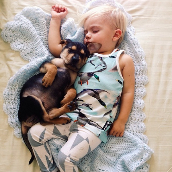 Theo and Beau, puppy and baby, Momma's Gone City Theo and Beau, puppy and baby, Momma's Gone City